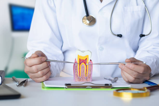 Best Emergency Orthodontic Repairs in Chambersburg, PA